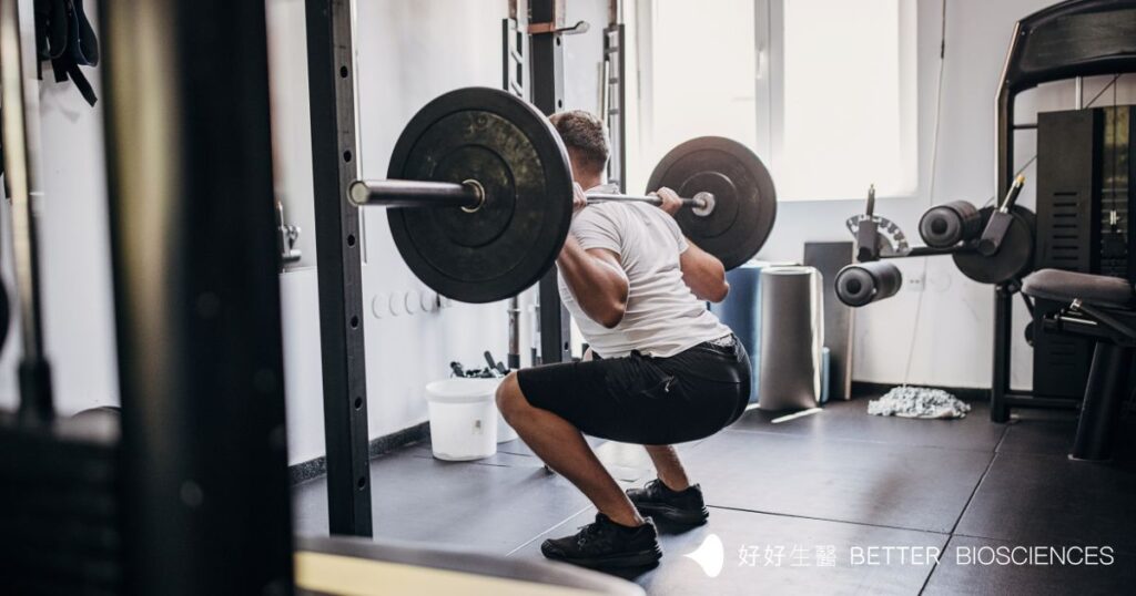 一名男性在健身房進行槓鈴深蹲背部特寫，適合搭配乳清蛋白補充以促進肌肉生長。