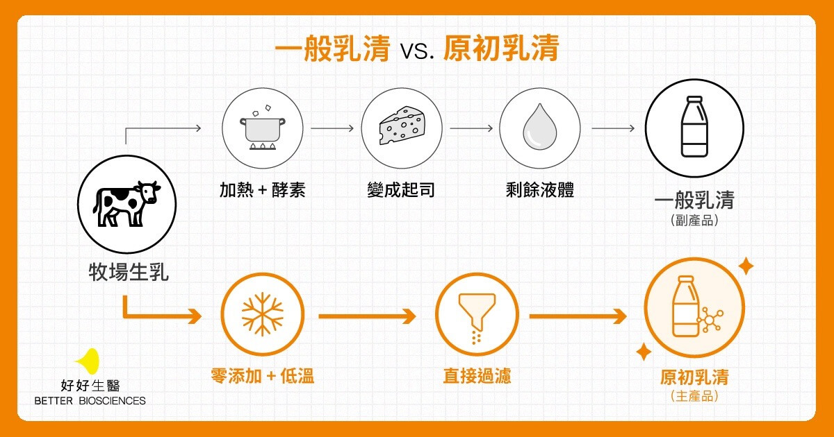 乳清蛋白是什麼？定義、製程與種類完整圖解